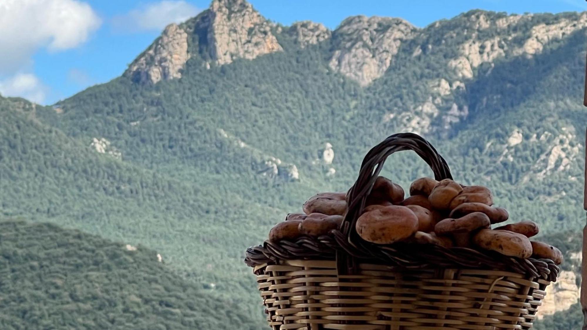 Apartament Acollidor Al Bergueda 6P Sant Jordi de Cercs Exteriér fotografie